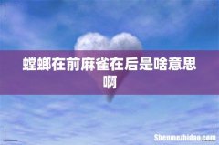 螳螂在前麻雀在后是啥意思啊