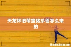 天龙怀旧萌宝猪珍兽怎么来的