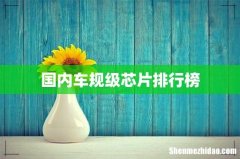 国内车规级芯片排行榜