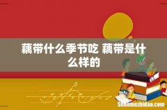 藕带什么季节吃 藕带是什么样的