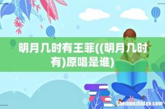 (明月几时有 明月几时有王菲原唱是谁)