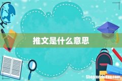 推文是什么意思