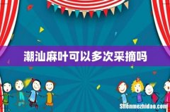 潮汕麻叶可以多次采摘吗