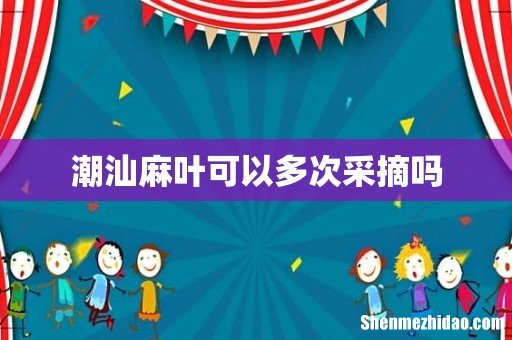 潮汕麻叶可以多次采摘吗