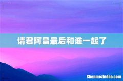 请君阿昌最后和谁一起了