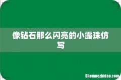 像钻石那么闪亮的小露珠仿写