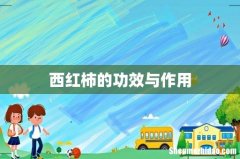 西红柿的功效与作用