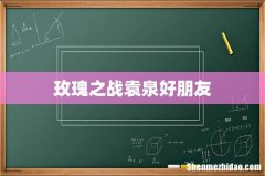 玫瑰之战袁泉好朋友