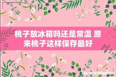 桃子放冰箱吗还是常温 原来桃子这样保存最好
