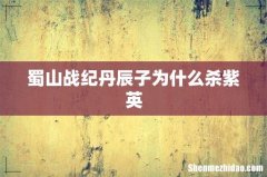 蜀山战纪丹辰子为什么杀紫英