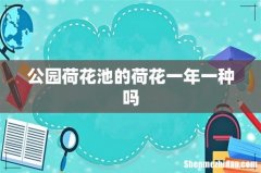 公园荷花池的荷花一年一种吗