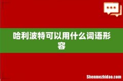 哈利波特可以用什么词语形容