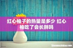 红心柚子的热量是多少 红心柚吃了会长胖吗