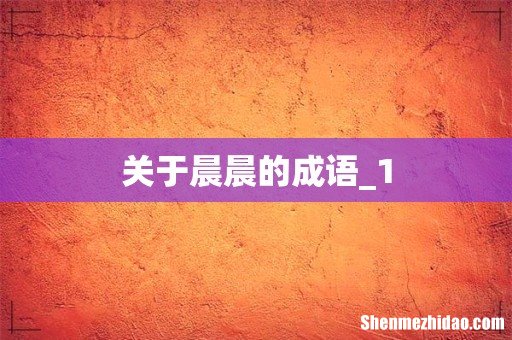 关于晨晨的成语_1