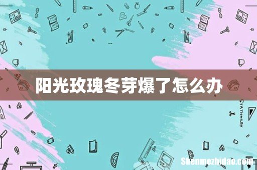 阳光玫瑰冬芽爆了怎么办