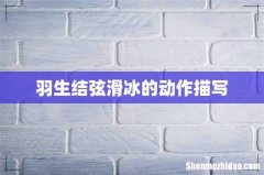 羽生结弦滑冰的动作描写