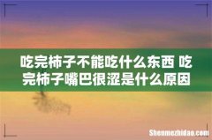 吃完柿子不能吃什么东西 吃完柿子嘴巴很涩是什么原因