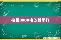 柏悦8000电吹管怎样