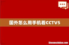 国外怎么用手机看CCTV5
