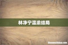 林净宁温渝结局