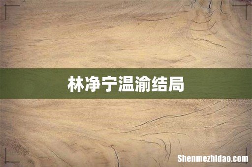 林净宁温渝结局