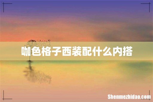 咖色格子西装配什么内搭