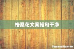 格桑花文案短句干净