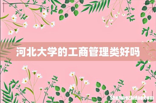 河北大学的工商管理类好吗