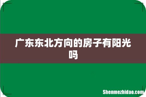 广东东北方向的房子有阳光吗
