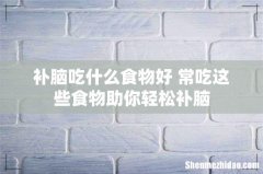 补脑吃什么食物好 常吃这些食物助你轻松补脑