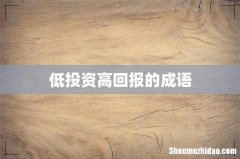 低投资高回报的成语