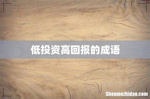 低投资高回报的成语
