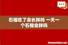 石榴吃了会长胖吗 一天一个石榴会胖吗