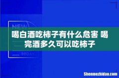 喝白酒吃柿子有什么危害 喝完酒多久可以吃柿子