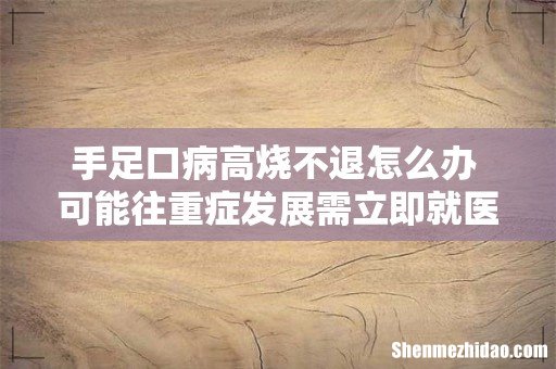 手足口病高烧不退怎么办 可能往重症发展需立即就医