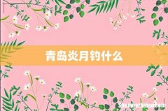 青岛炎月钓什么