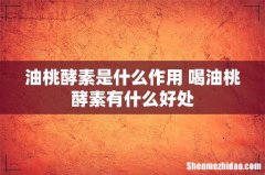油桃酵素是什么作用 喝油桃酵素有什么好处