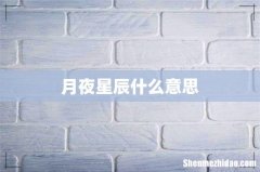 月夜星辰什么意思