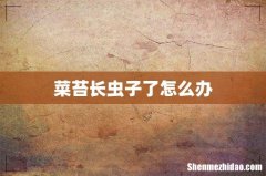 菜苔长虫子了怎么办