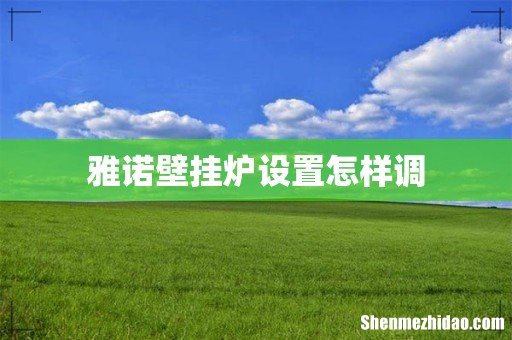 雅诺壁挂炉设置怎样调