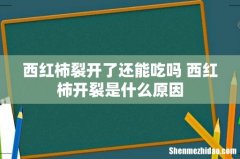 西红柿裂开了还能吃吗 西红柿开裂是什么原因