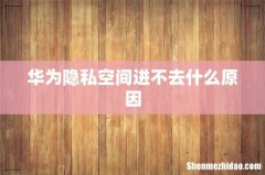 华为隐私空间进不去什么原因