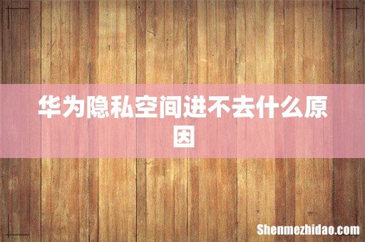 华为隐私空间进不去什么原因