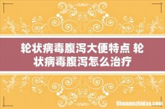 轮状病毒腹泻大便特点 轮状病毒腹泻怎么治疗