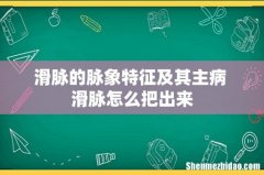 滑脉的脉象特征及其主病 滑脉怎么把出来