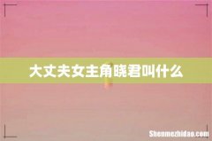 大丈夫女主角晓君叫什么