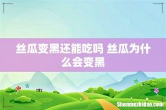 丝瓜变黑还能吃吗 丝瓜为什么会变黑