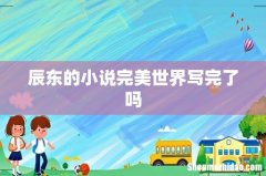 辰东的小说完美世界写完了吗