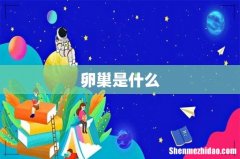卵巢是什么