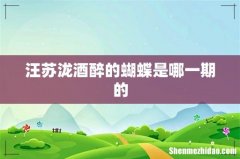 汪苏泷酒醉的蝴蝶是哪一期的